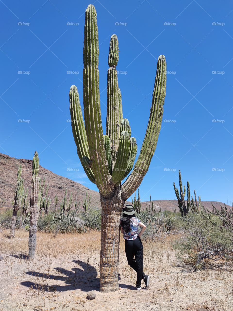 A woman leaning against a cactus on the outskirts of La Paz in Baja California Sur