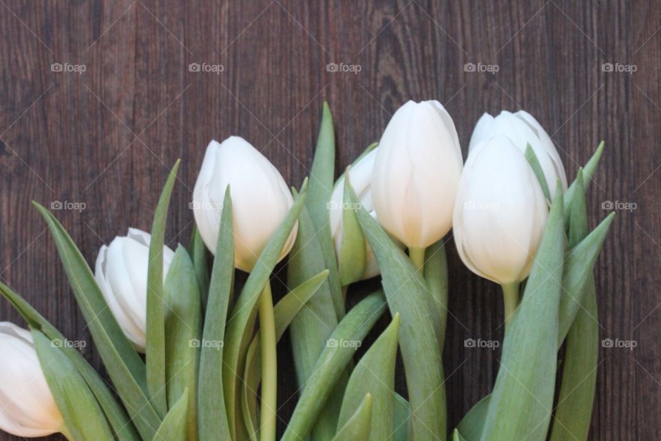 Close-up of tulip flower on table
