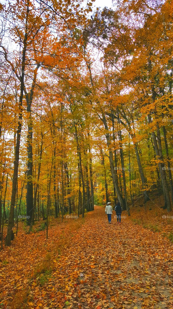 Autumn Hike