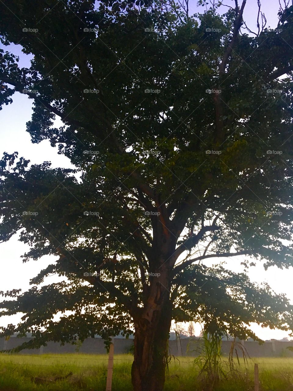 🌅Desperte, #Jundiaí!
Ótima semana a todos.
🍃
#sol #sun #sky #céu #photo #nature #morning #alvorada #natureza #horizonte #fotografia #paisagem #inspiração #amanhecer #mobgraphy #mobgrafia #FotografeiEmJundiaí