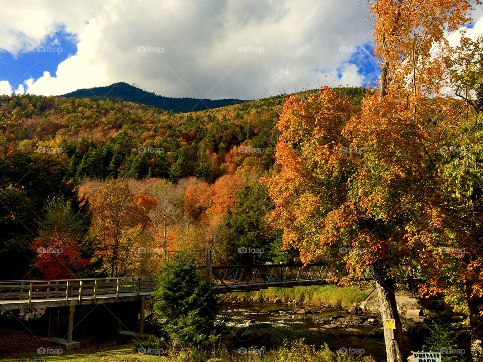 Adirondacks, NY