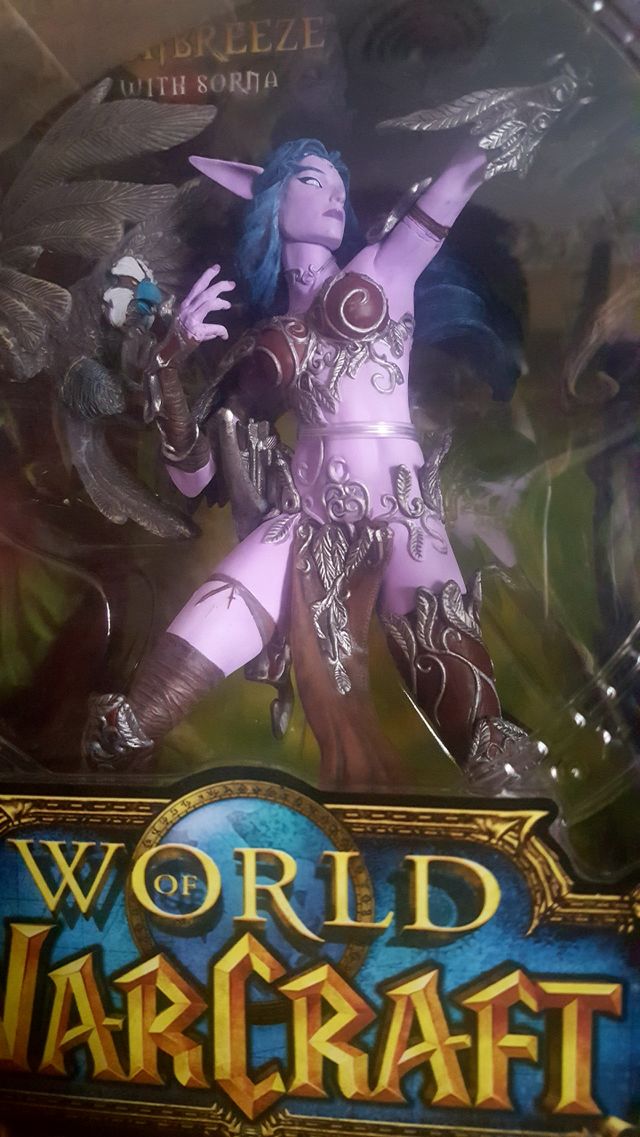 world of warcraft