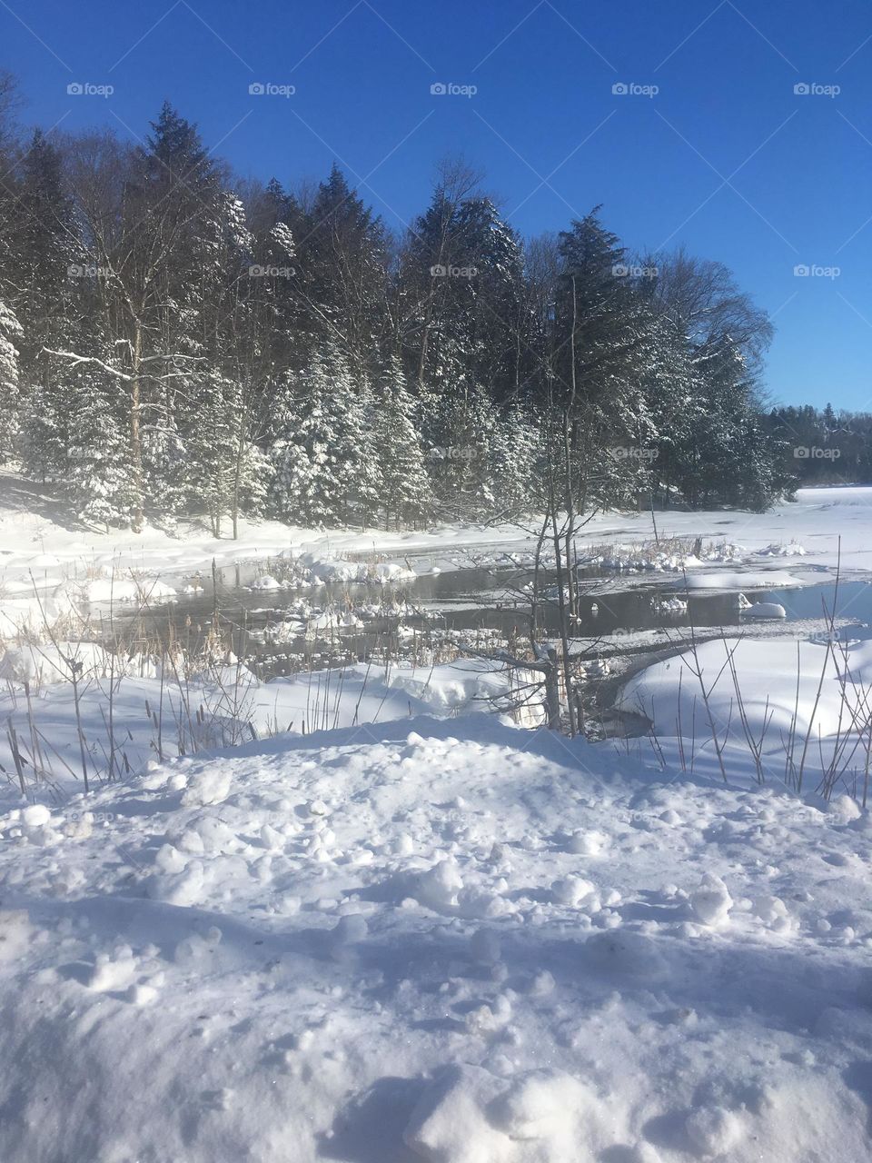 Image hivernale du secteur des Laurentides au Québec.