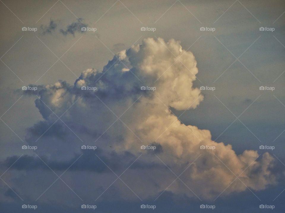 Thunderhead Raincloud
