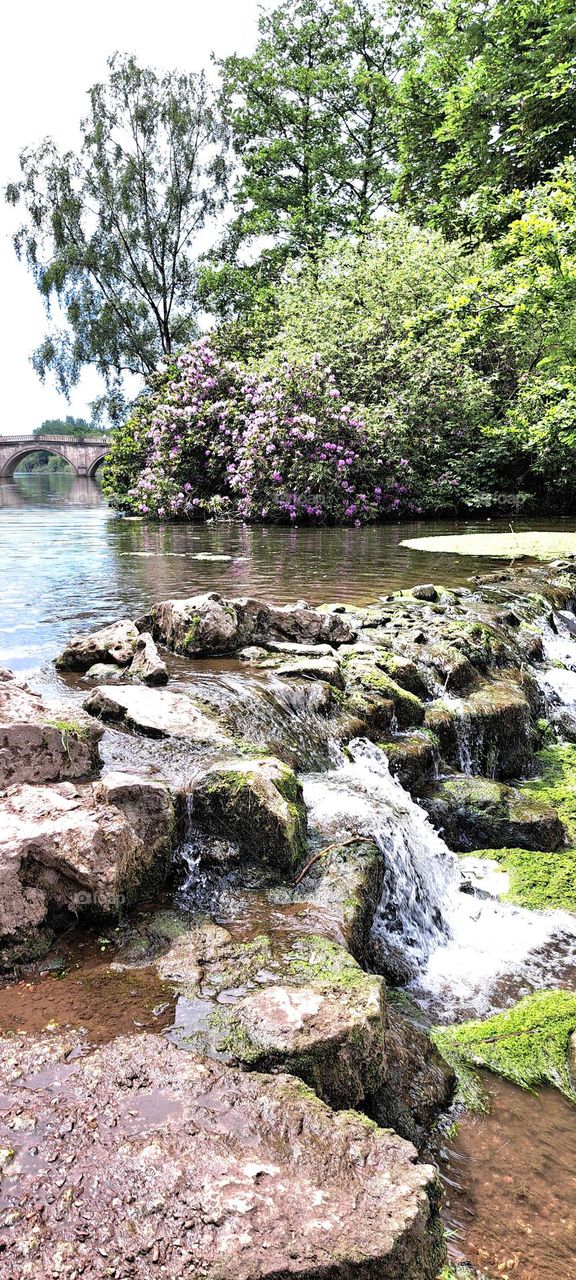 Bridge and Waterfall