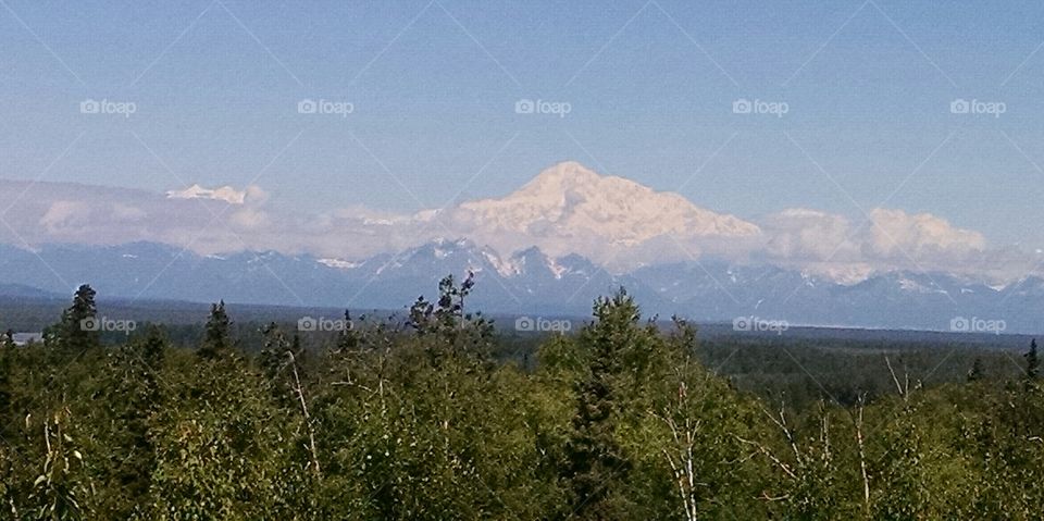 Mt. Denali