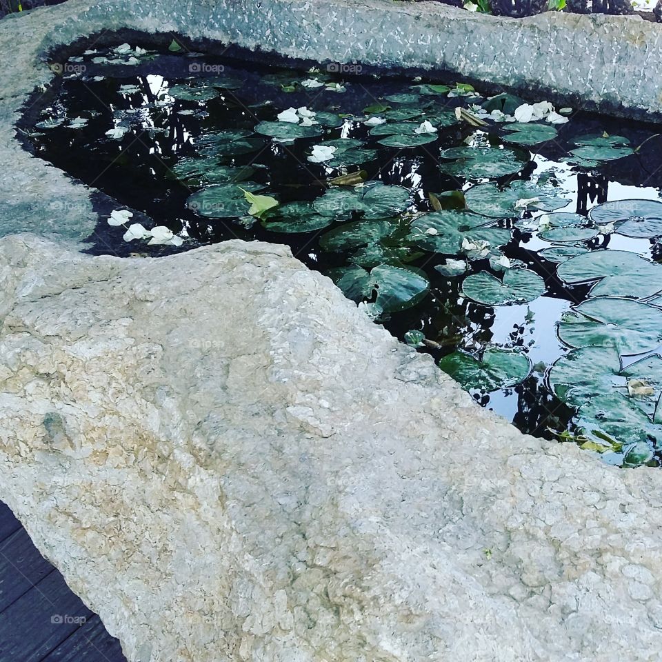 lotus pond sculpture