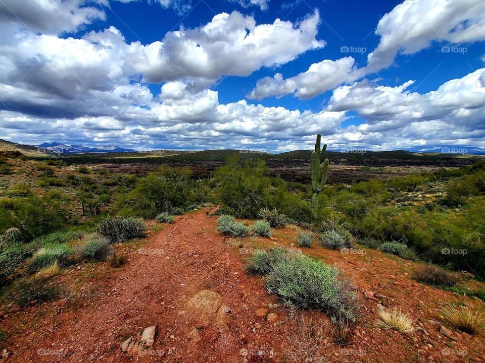 Cloudy sky accentuates the beauty of the Arizona desert