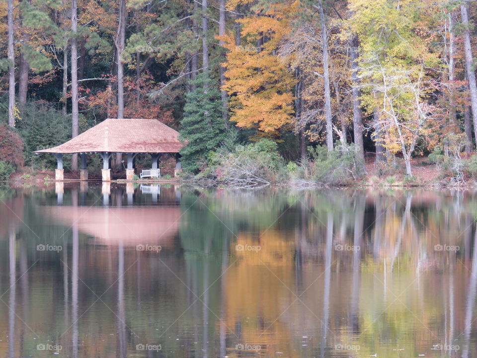 Autumn reflections