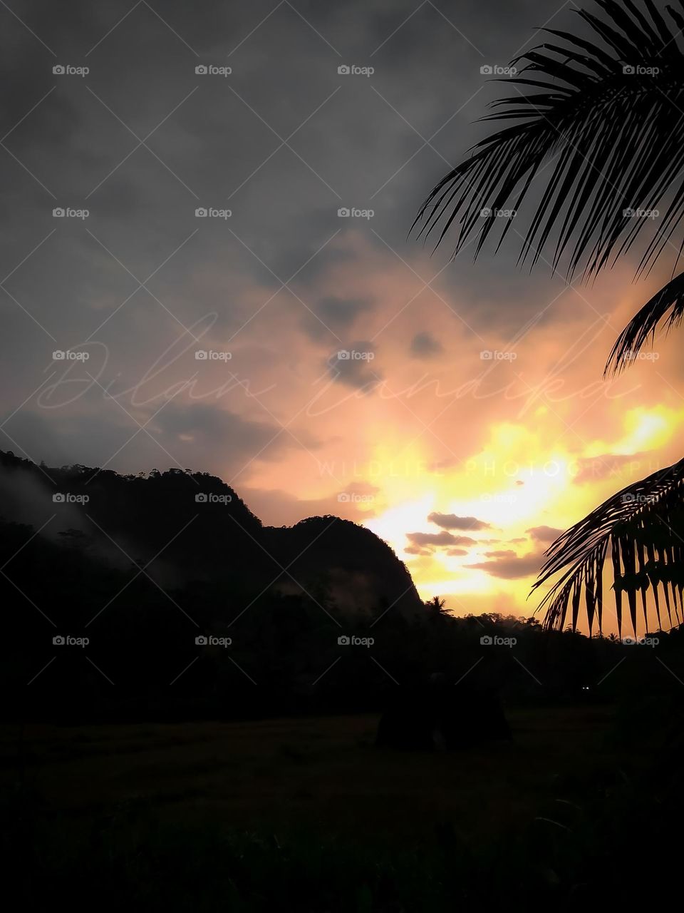 Landscape photography