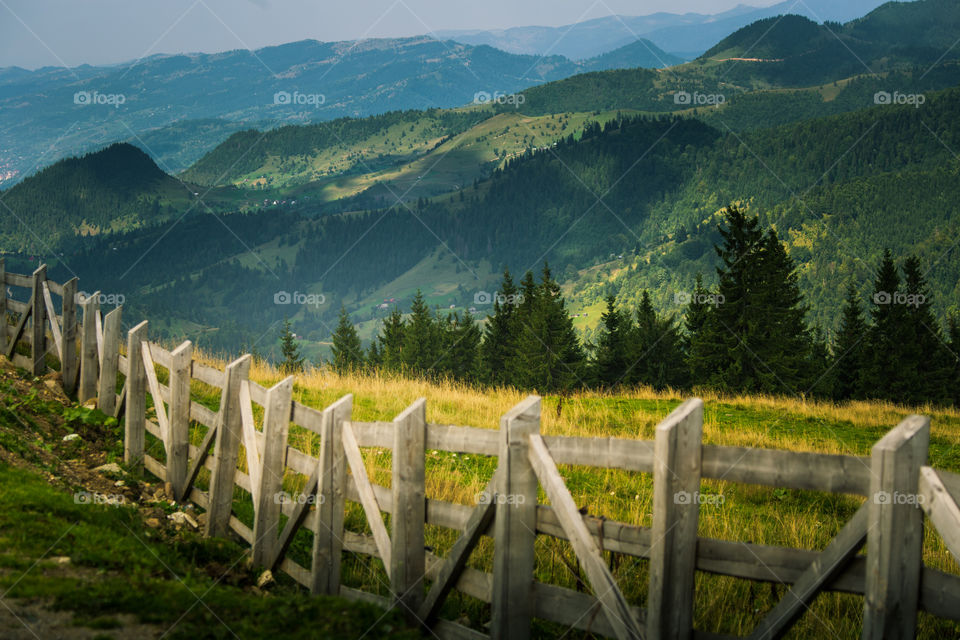 No Person, Wood, Landscape, Nature, Fence