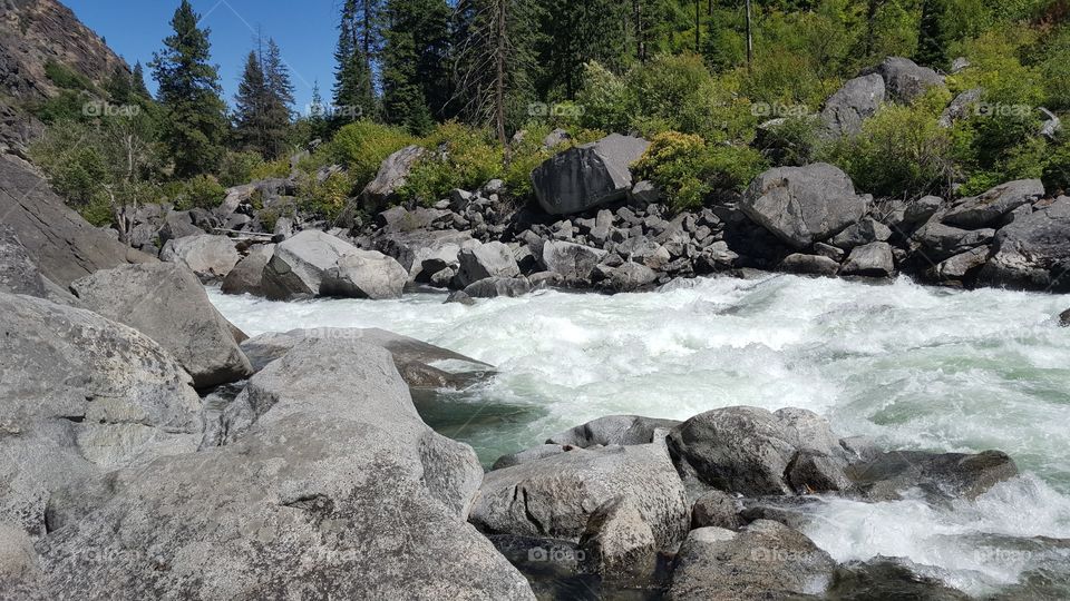 rapids going downstream