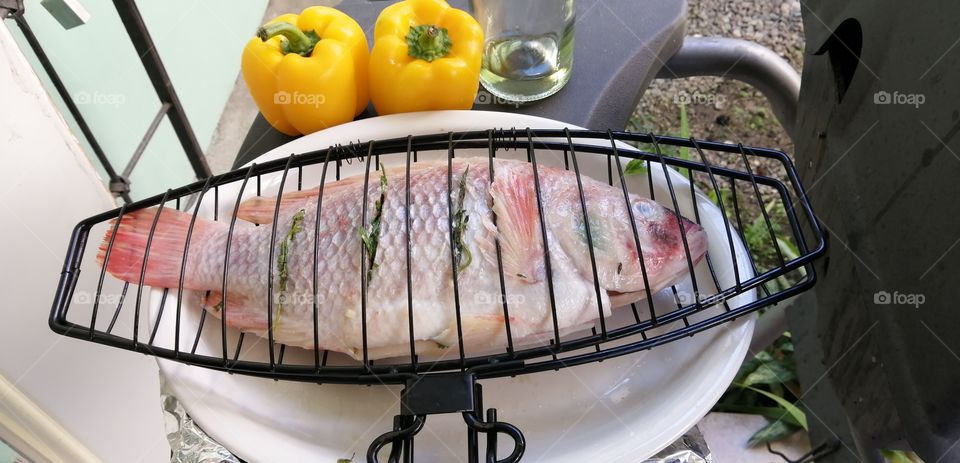 Tilapia ready to be grill