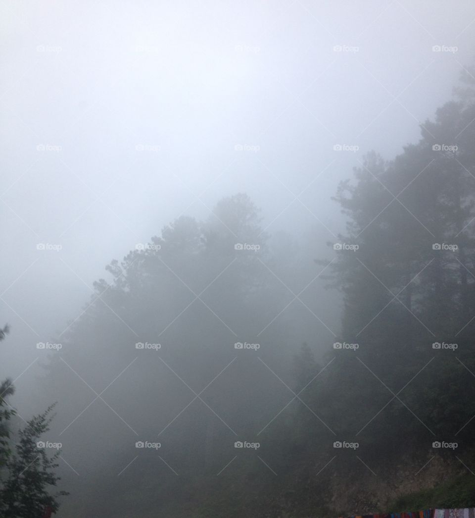 Fog!!!! Mysterious 