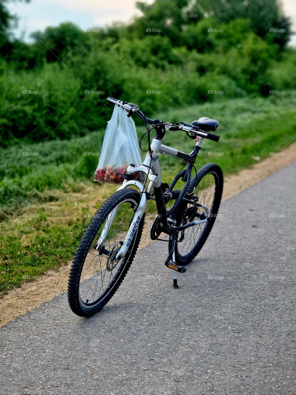 lonely bicycle