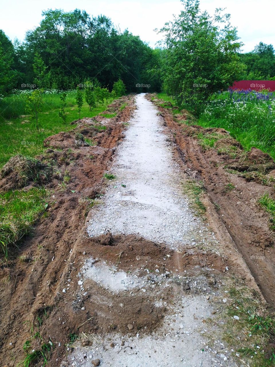 дорога сельская