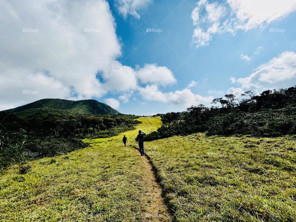 Chariot Path: Grassland on mountain, encircled by pigmy forest. Breathtaking views, untouched environment. Near Frotoft Tea Estate, Pussallawa, Sri Lanka. Route King Ravana took with Seetha.