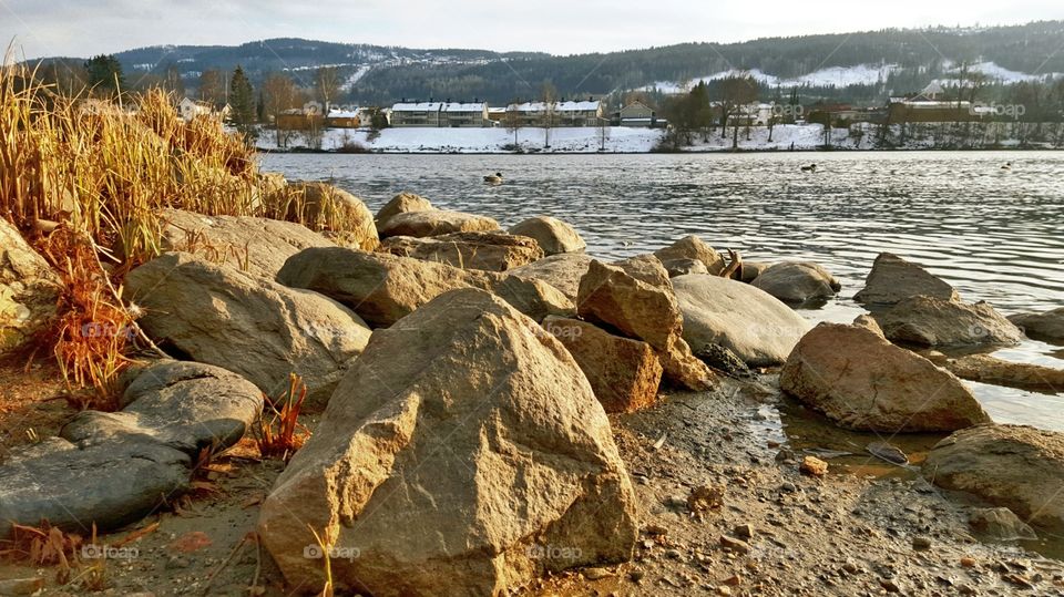 Springtime by the river