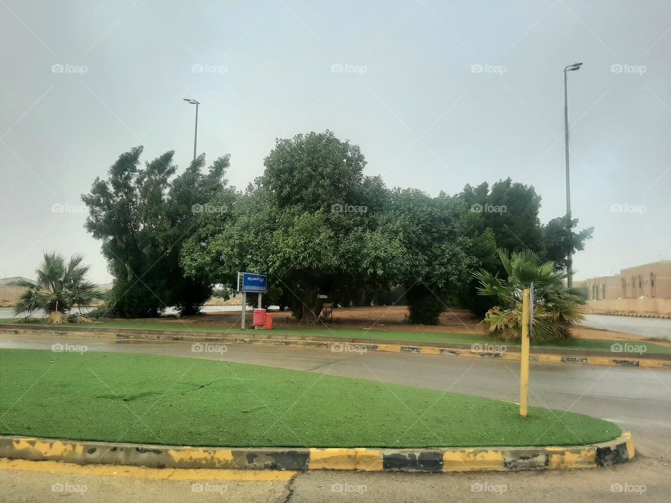 Please help me, I am very poor, I need your support and God is in need