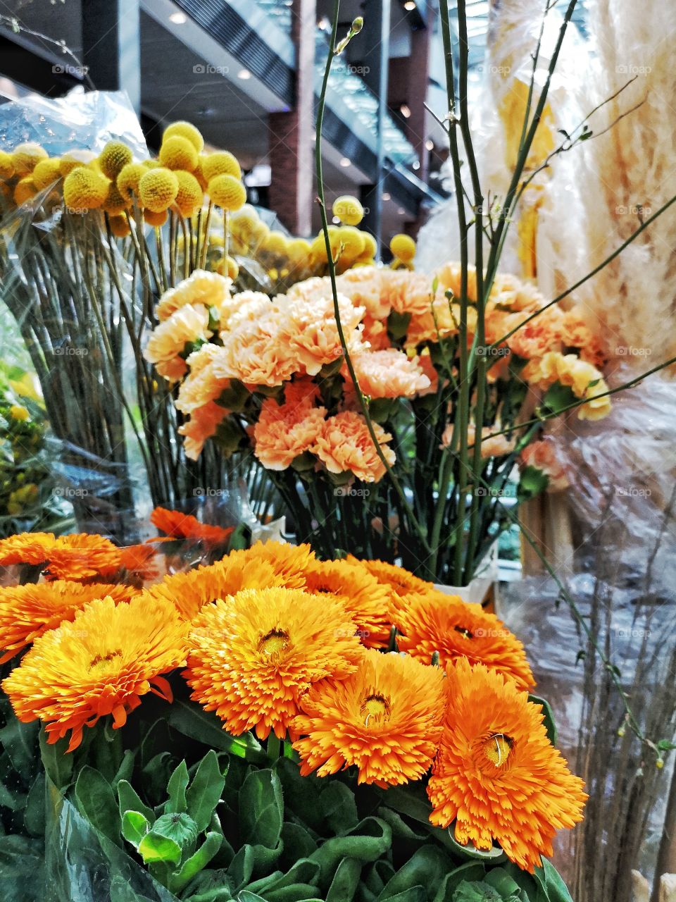 Orange flowers