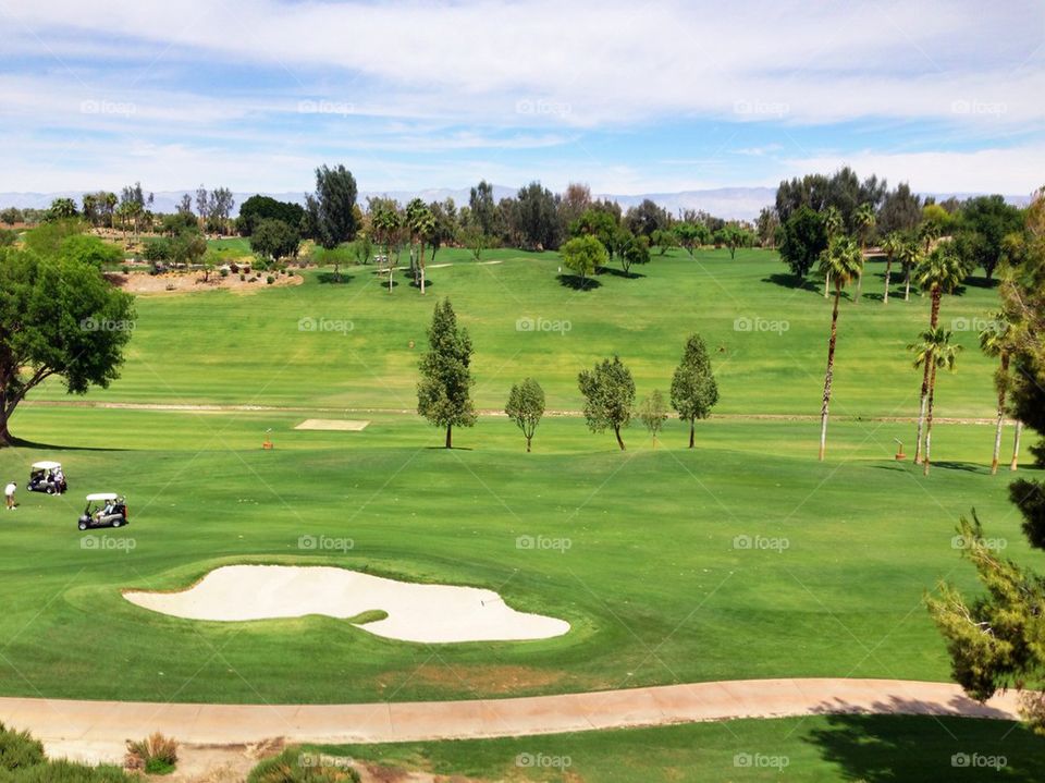 Lush Green Golf Course