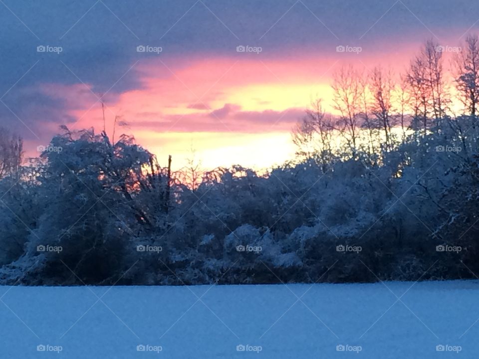 Frigid Winter's eve.