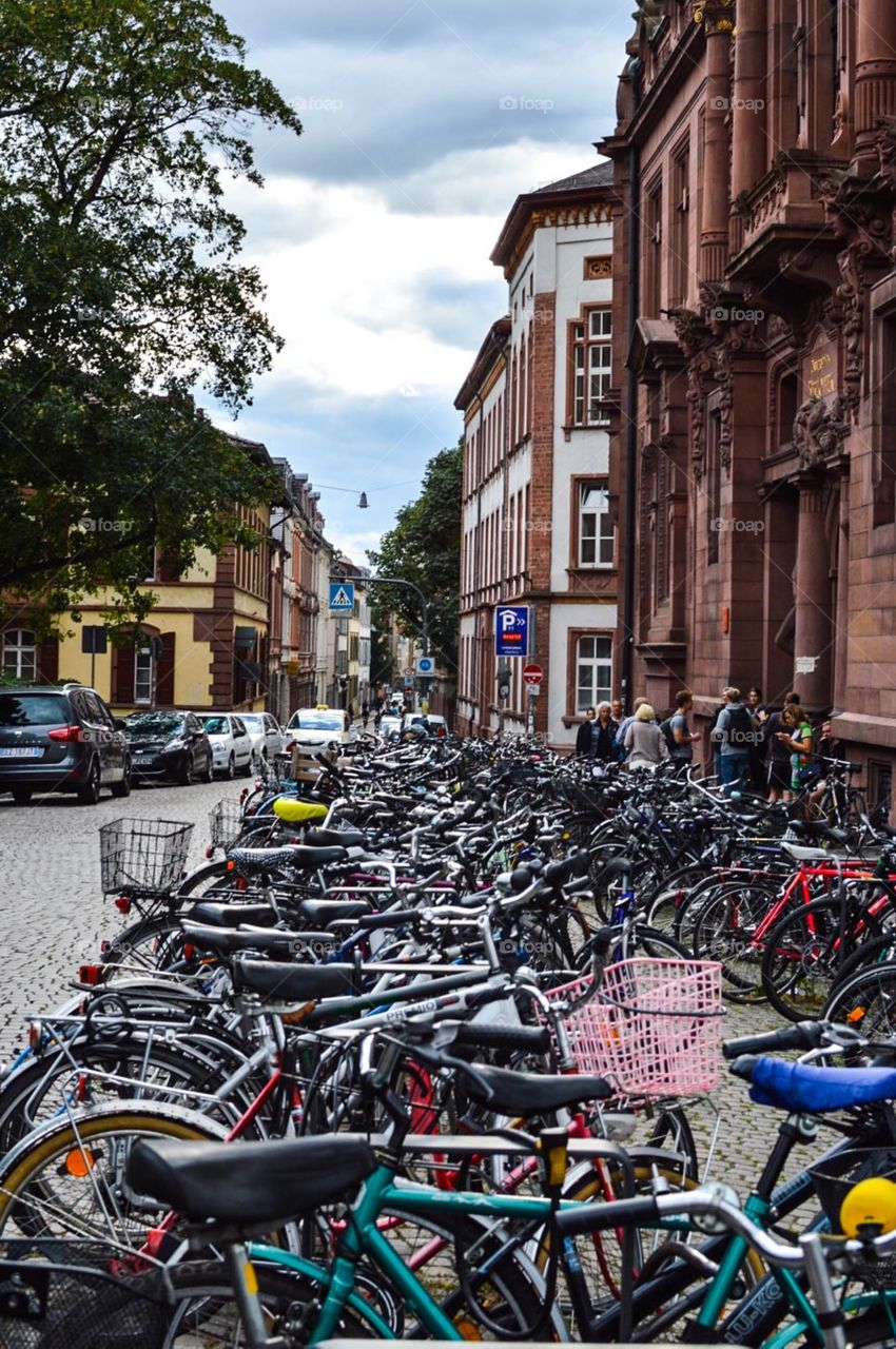 Bicycles in Europe