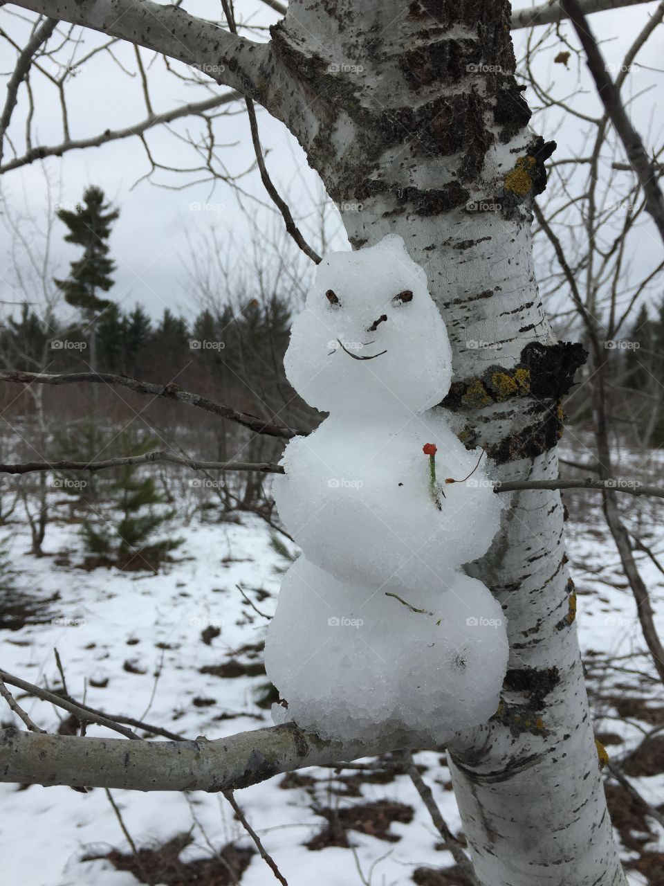 Smiling snowman. Tiny snowman in a tree and a cute smile