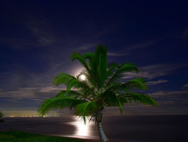 Full moon