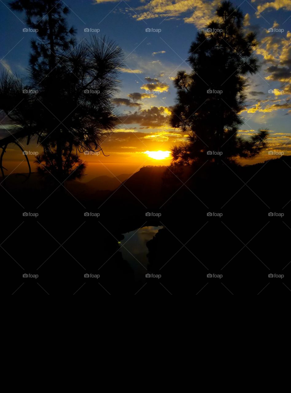 Sunset, Silhouette, Backlit, Evening, Light