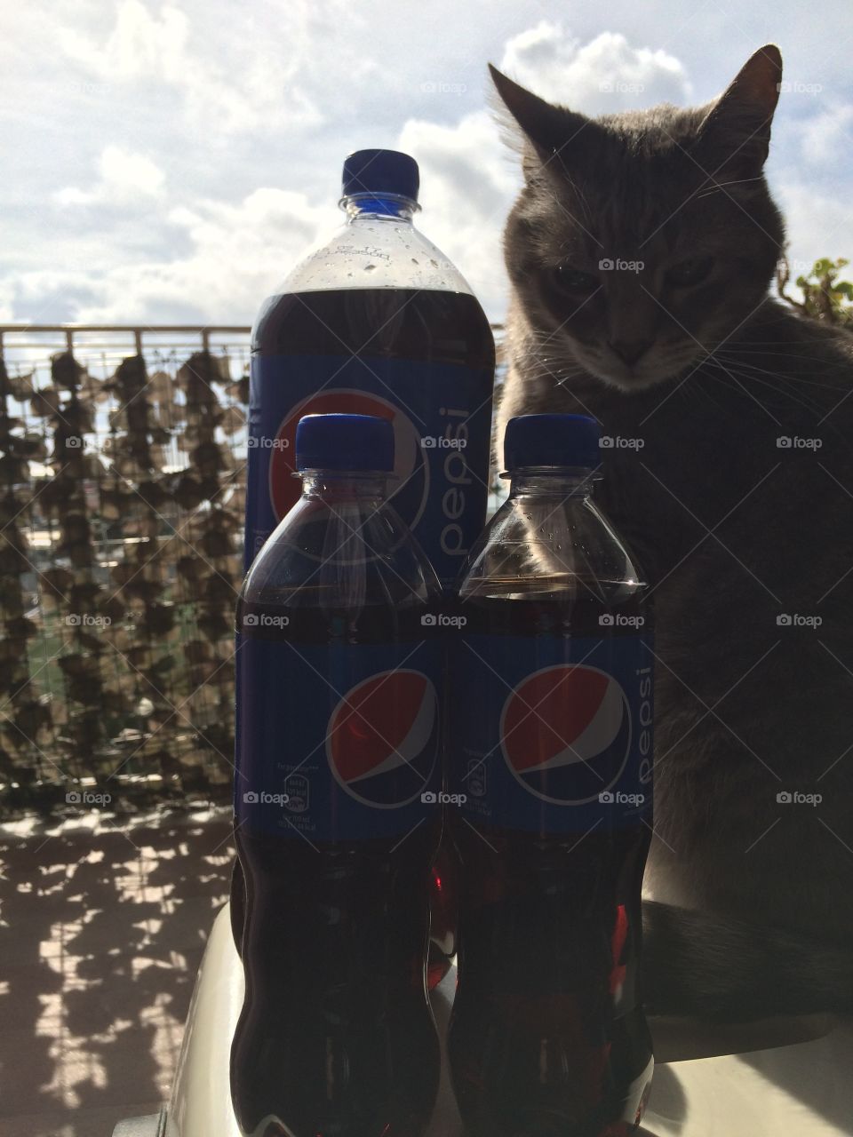 In posa per la pepsi