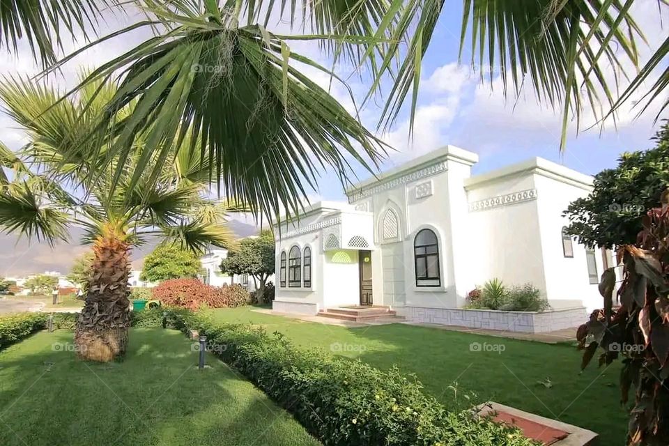 The image embodies a natural natural plate of the mountains of nature, where green agricultural stands are graded on the slopes as if they were lines of a poem, which fog harmoniously wrapped, and clouds hugged them in the mountain knife and the whis