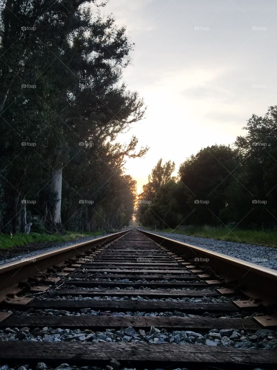 Train Tracks to Eternity