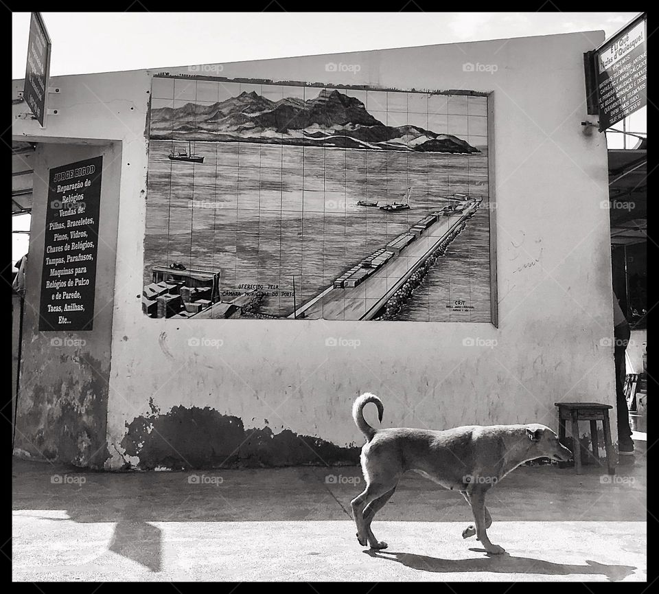 tile painted mural in the market square of Mindelo, São Vicente Island, Cape Verde