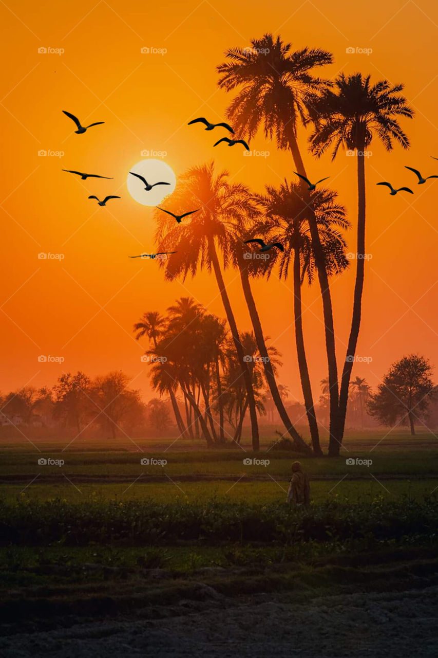 the early morning view