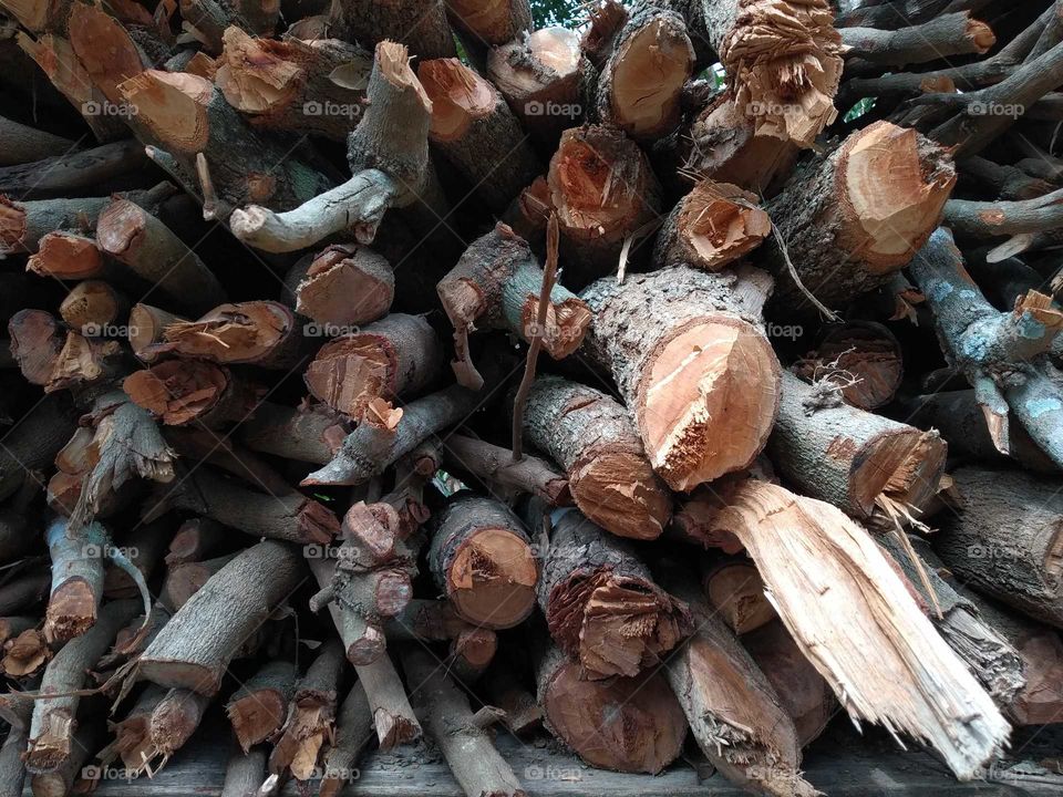 firewood
