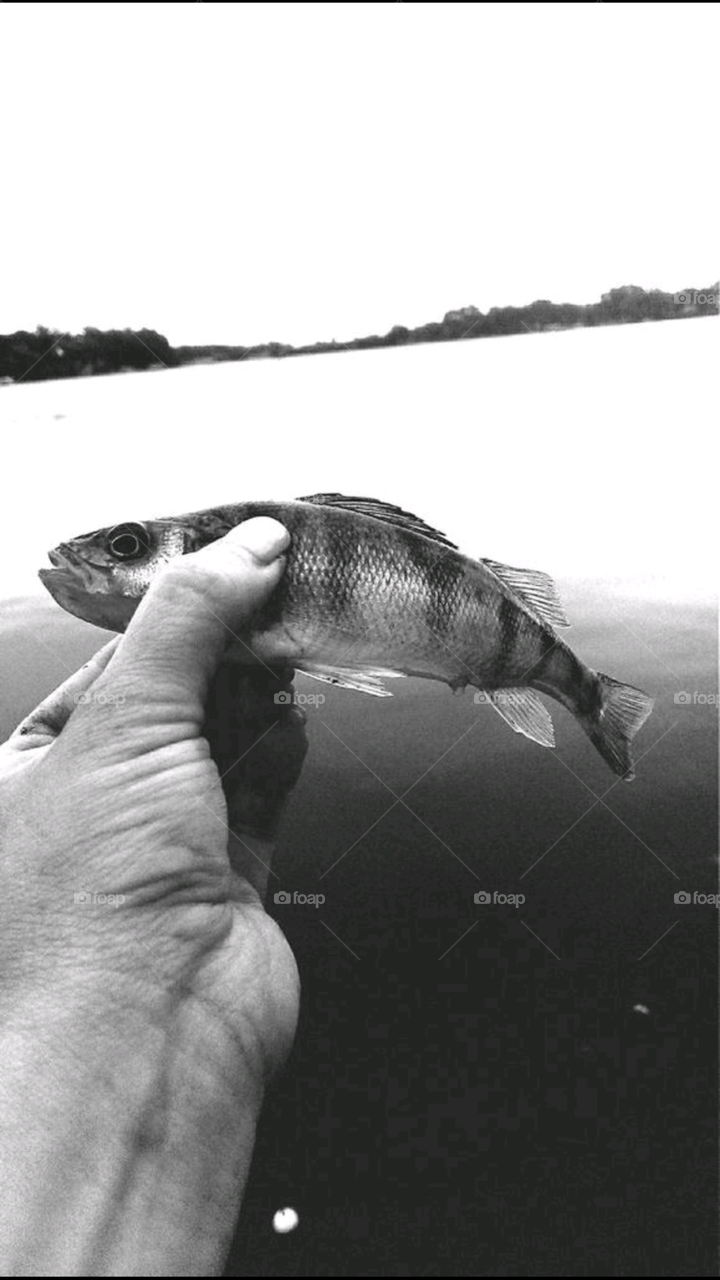 little things count. fishing up north of Chicago on the Chain of Lakes. The smallest fish you catch can still make your day