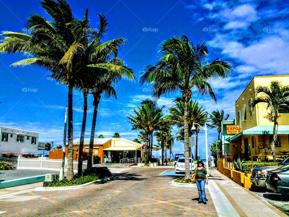 Playa de Hollywood Fl