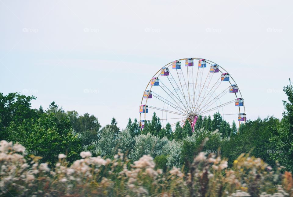 Ferries wheel