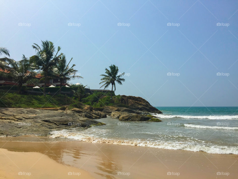 Beautiful tropical beach with palm trees