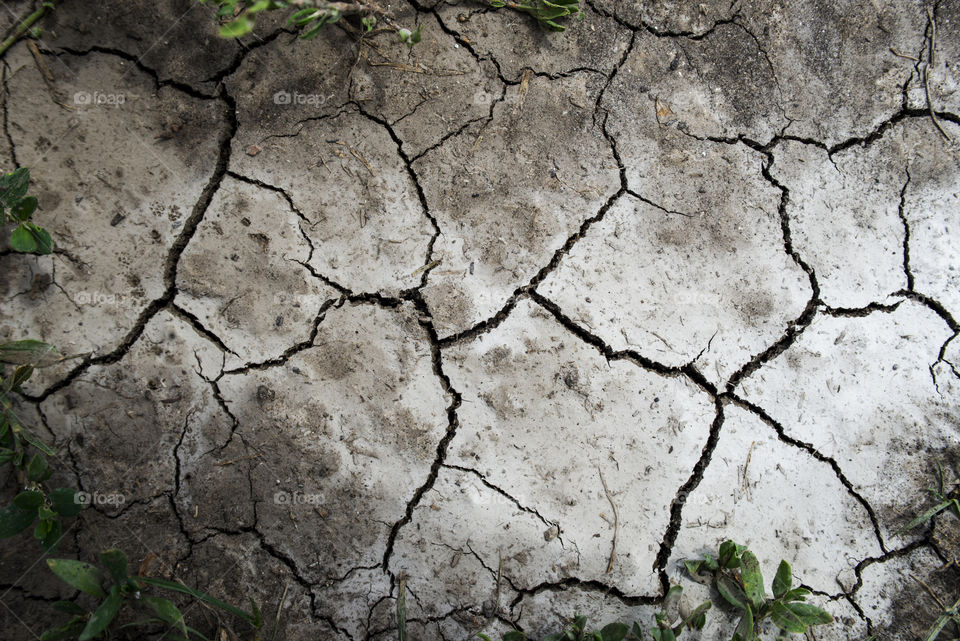 dry land. cracks in the earth