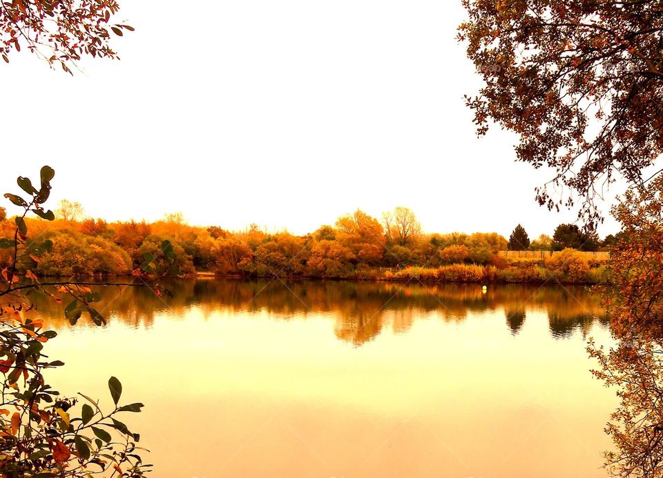 reflection on lake