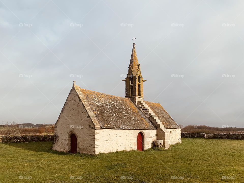 Editor’s Choice: Photo of the Week