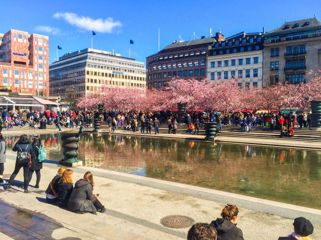 Kungsträdgården 