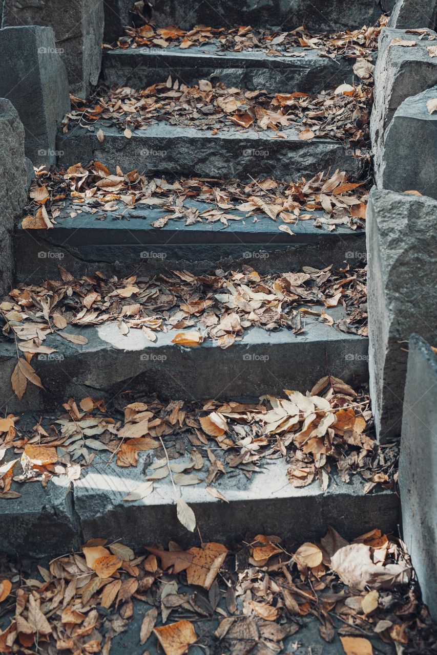 Stone steps covered with fallen leaves at an autumn time  .
