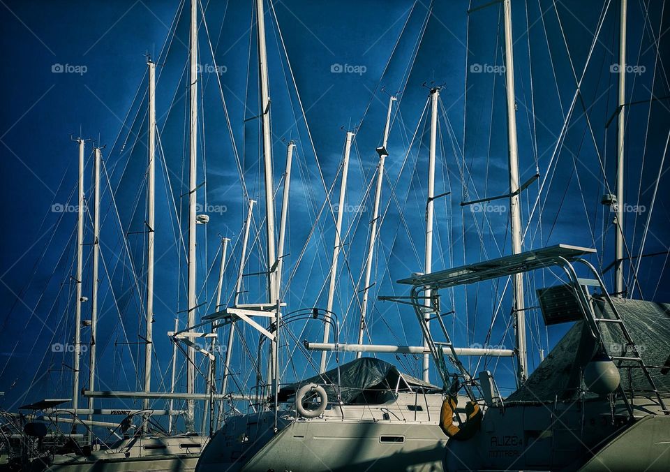 Masts of sailboats in dry dock clustered together against a blue sky
