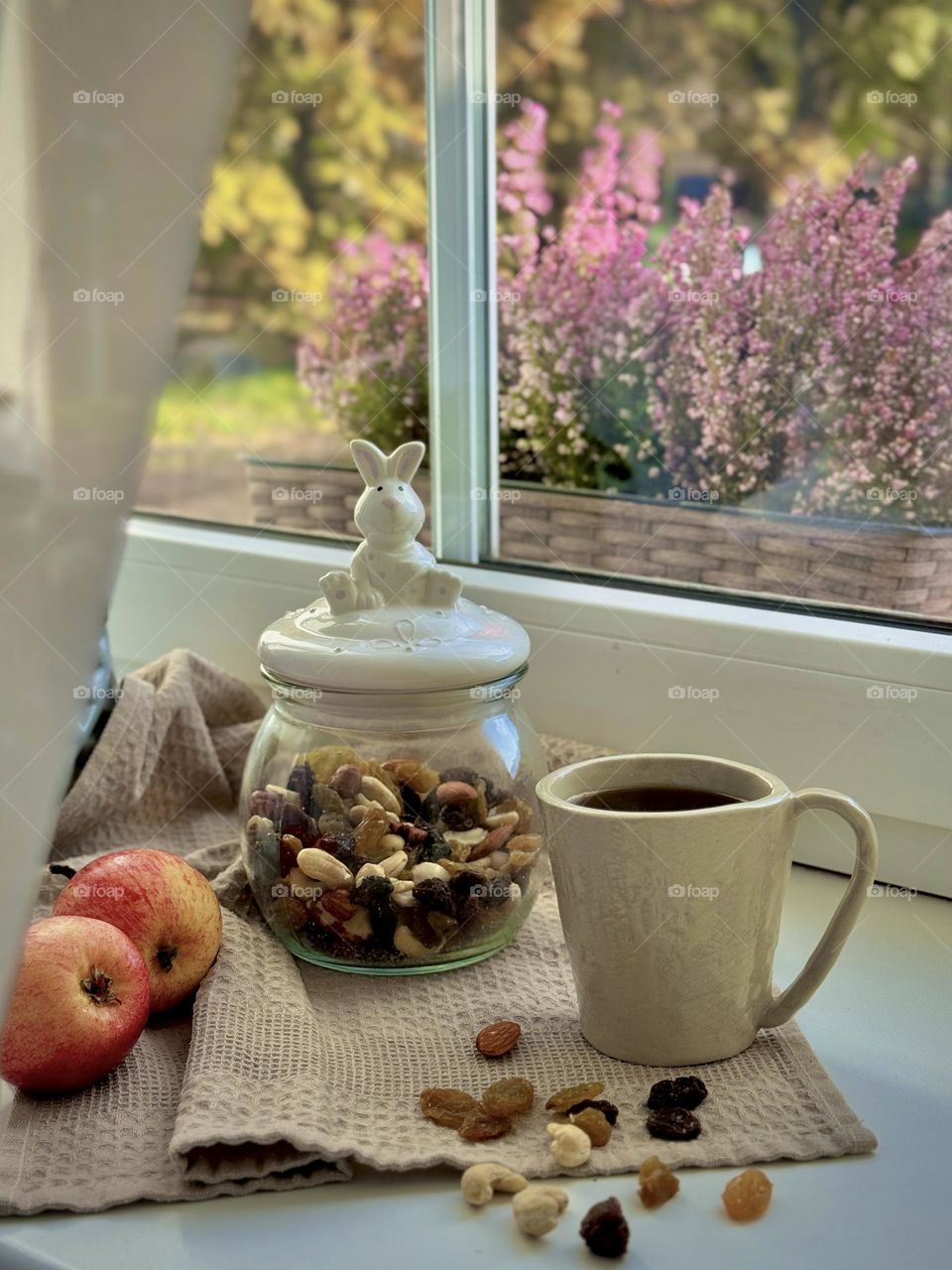 Cozy composition on the windowsill: heather in a flowerpot, nuts, apples and coffee