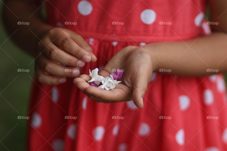 Girl is collecting flowers in her palm