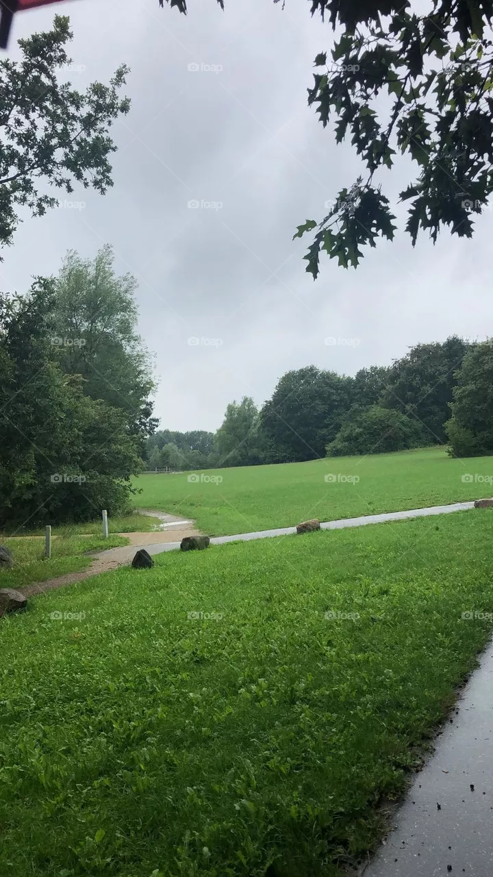 park
