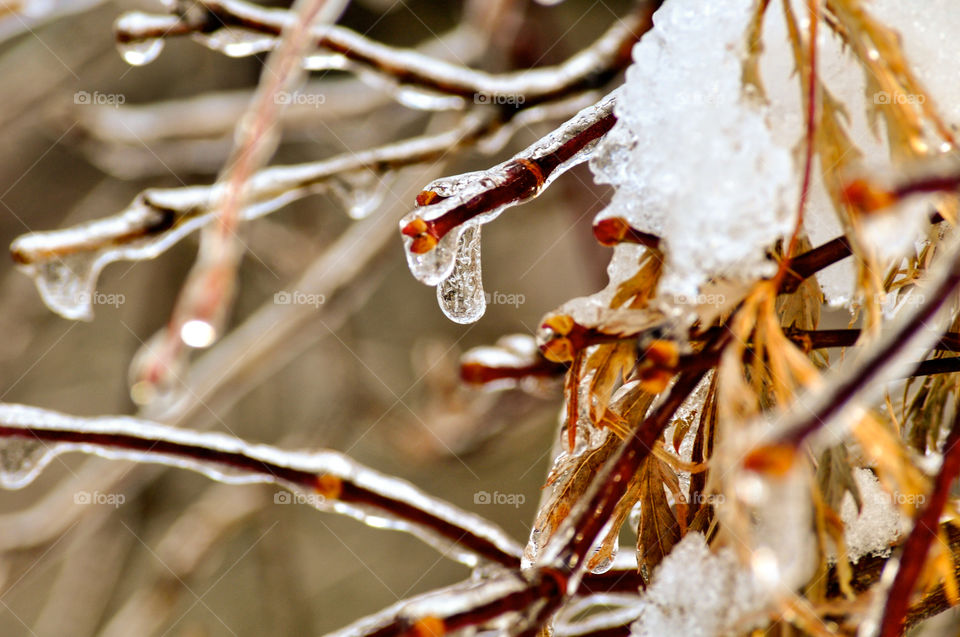 Frozen in Time